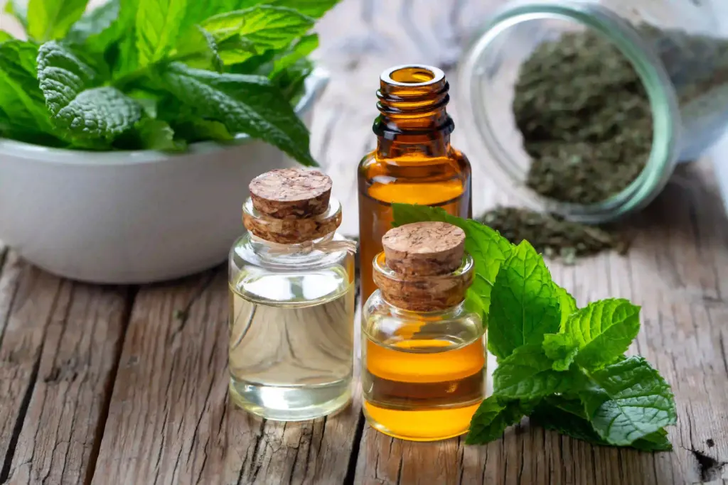 Ätherische Öle und frische Minze. Natürliche Begleiter für Aromatherapie mit Pferden und ihren Menschen.